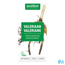 Afbeelding in Gallery-weergave laden, Purasana Valeriaan Caps 70
