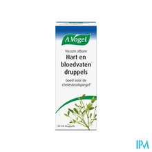 Afbeelding in Gallery-weergave laden, A.vogel Viscum Album Druppels 50ml
