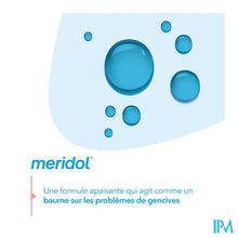 Load image into Gallery viewer, Meridol Tandvleesbescherming Mondspoeling 400ml Nf
