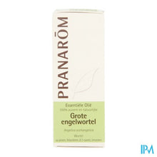 Afbeelding in Gallery-weergave laden, Pranarom Eo Grote Engelwortel Wortel 5ml
