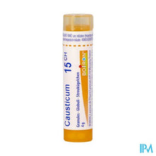 Afbeelding in Gallery-weergave laden, Causticum Hahnemanni 15ch Gr 4g Boiron
