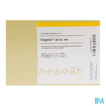 Load image into Gallery viewer, Engystol N Ad Us.vet Amp 50x5,0ml
