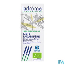 Afbeelding in Gallery-weergave laden, Ladrome Cistus Ladaniferus - Cisteroos 10ml
