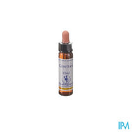 Healing Herbs Gentian 10ml