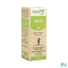 Afbeelding in Gallery-weergave laden, Herbalgem Walnoot Maceraat 15ml
