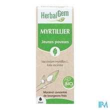 Afbeelding in Gallery-weergave laden, Herbalgem Blauw Bosbes Bio 30ml
