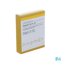 Afbeelding in Gallery-weergave laden, Engystol N Ad Us.vet Amp 5x5,0ml

