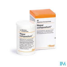 Load image into Gallery viewer, Hepar Compositum Comp 50 Heel
