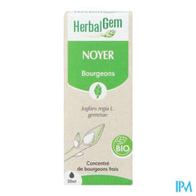 Afbeelding in Gallery-weergave laden, Herbalgem Walnoot Bio 30ml
