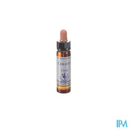 Healing Herbs Cerato 10ml