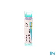 Afbeelding in Gallery-weergave laden, Cactus Grandiflorus 30k Gr 4g Boiron
