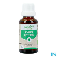 Afbeelding in Gallery-weergave laden, Herbalgem Lijsterbes Bio 30ml

