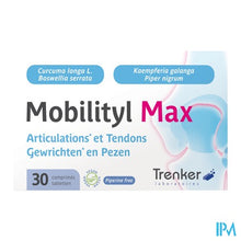 Afbeelding in Gallery-weergave laden, Mobilityl Max Comp 30
