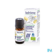Afbeelding in Gallery-weergave laden, Ladrome Anthemis Nobilis/roomse Kamille 5ml
