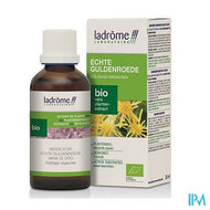 Ladrome Solidago Virgo Aurea/guldenr. Echte 100ml