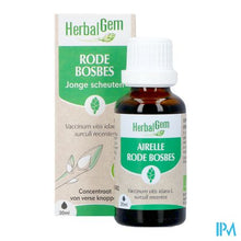Load image into Gallery viewer, Herbalgem Rode Bosbes Bio 30ml

