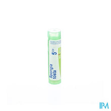 Load image into Gallery viewer, Spongia Tosta 5ch Gr 4g Boiron

