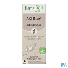 Afbeelding in Gallery-weergave laden, Herbalgem Artigem Bio 30ml
