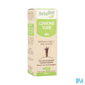 Herbalgem Vlierbes Maceraat 50ml