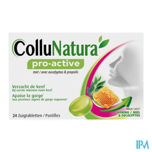Load image into Gallery viewer, Collunatura Pro Active Pastilles 24
