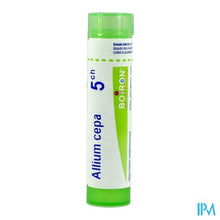 Afbeelding in Gallery-weergave laden, Allium Cepa 5ch Gr 4g Boiron
