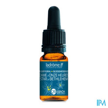 Afbeelding in Gallery-weergave laden, Ladrome Vogelmelk/star Bethlehem 10ml
