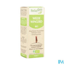 Charger l'image dans la galerie, Herbalgem Wilde Wingerd Maceraat 15ml
