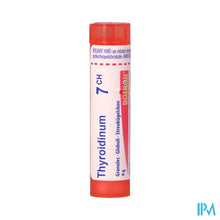 Afbeelding in Gallery-weergave laden, Thyroidinum 07ch Gr 4g Boiron
