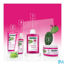 Afbeelding in Gallery-weergave laden, Klorane Capil. Sh Cactusvijg 400ml
