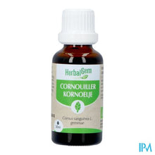 Charger l'image dans la galerie, Herbalgem Kornoelje Bio 30ml
