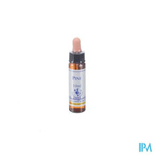 Afbeelding in Gallery-weergave laden, Healing Herbs Pine 10ml
