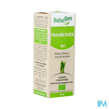 Charger l'image dans la galerie, Herbalgem Frambozen Maceraat 15ml
