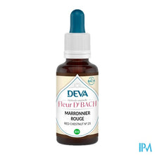 Load image into Gallery viewer, Deva 25 Rode Kastanje Bio 30ml
