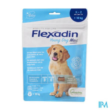 Afbeelding in Gallery-weergave laden, Flexadin Young Dog Maxi Chew 60
