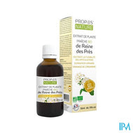 Extract Moerasspirea Bio 50ml