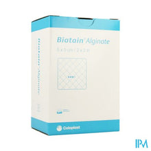 Afbeelding in Gallery-weergave laden, Biatain Alginate 5cmx 5cm 30 3705
