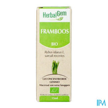 Charger l'image dans la galerie, Herbalgem Frambozen Maceraat 15ml
