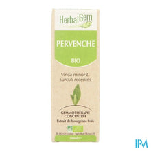 Charger l'image dans la galerie, Herbalgem Maagdenpalm Maceraat 50ml
