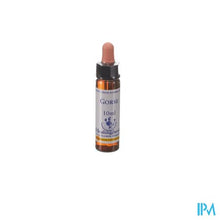 Afbeelding in Gallery-weergave laden, Healing Herbs Gorse 10ml

