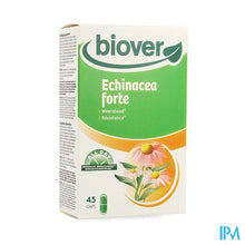 Afbeelding in Gallery-weergave laden, All Day Echinacea Forte V-caps 45
