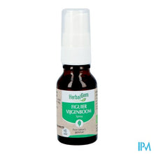 Afbeelding in Gallery-weergave laden, Herbalgem Vijgenboom Bio Spray 15ml
