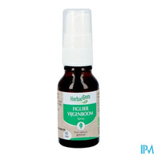 Afbeelding in Gallery-weergave laden, Herbalgem Vijgenboom Bio Spray 15ml
