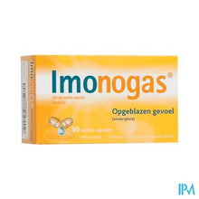 Charger l'image dans la galerie, Imonogas 240mg Caps 30
