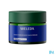 Afbeelding in Gallery-weergave laden, Weleda Blauwe Gentiaan &amp; Edelweiss Dag Cr 40ml
