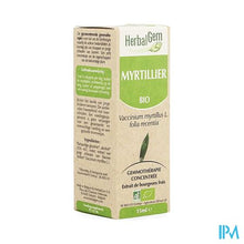 Charger l'image dans la galerie, Herbalgem Blauwe Bosbes Maceraat 15ml
