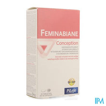 Load image into Gallery viewer, Feminabiane Conception Comp 30 + Caps 30
