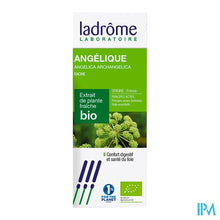 Afbeelding in Gallery-weergave laden, Ladrome Angelica Archangelica/grote Engelwort.50ml
