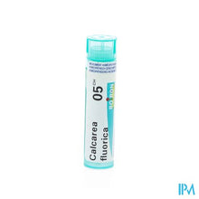 Load image into Gallery viewer, Calcarea Fluorica 5ch Gr 4g Boiron
