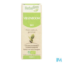 Charger l'image dans la galerie, Herbalgem Vijgenboom Maceraat 15ml
