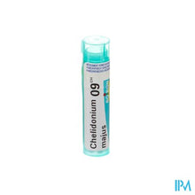 Afbeelding in Gallery-weergave laden, Chelidonium Majus 9ch Gr 4g Boiron
